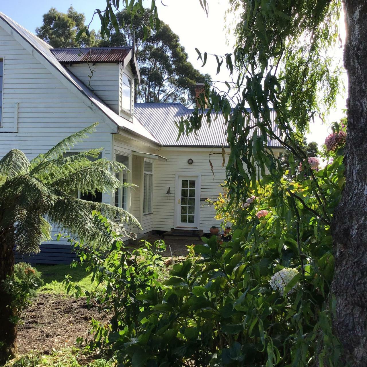Bed and Breakfast Harrison House Strahan Esterno foto